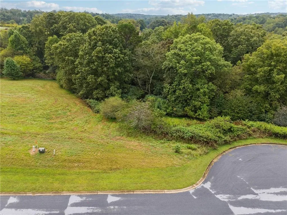 1091 Wind Dance Court Demorest, GA 30535