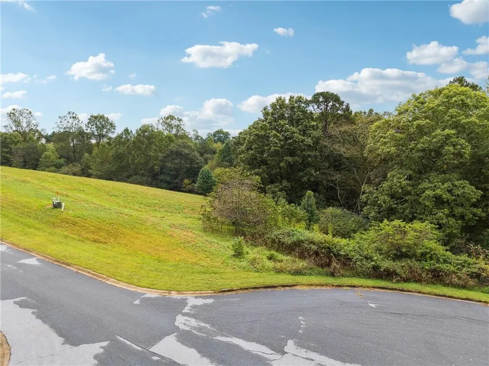1091 Wind Dance Court Demorest, GA 30535