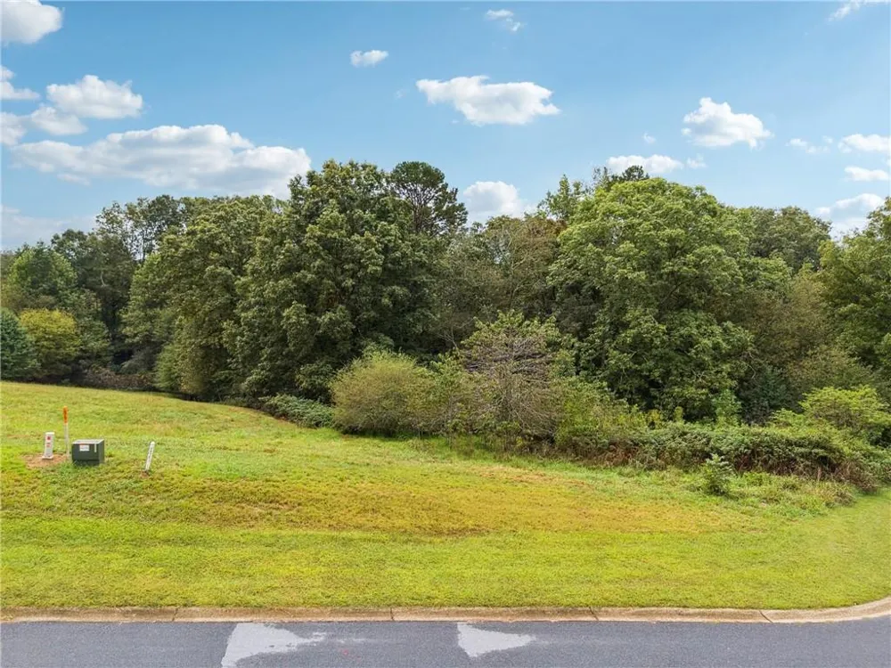 1091 Wind Dance Court Demorest, GA 30535