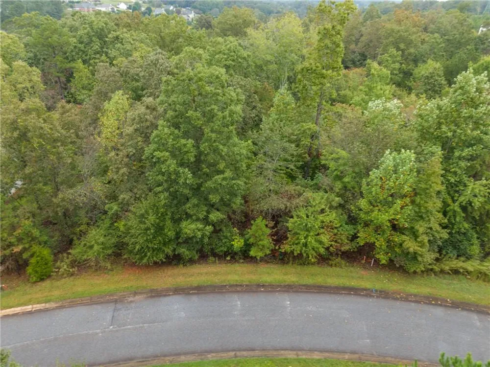 0 St Augustine Court Demorest, GA 30535