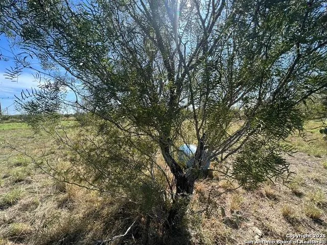 204 Camino Bolivar Laredo, TX 78043
