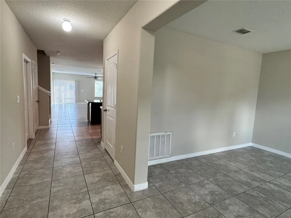 10013 CRESTED FRINGE DRIVE Riverview, FL 33578