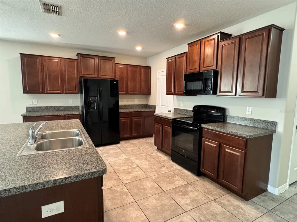 10013 CRESTED FRINGE DRIVE Riverview, FL 33578