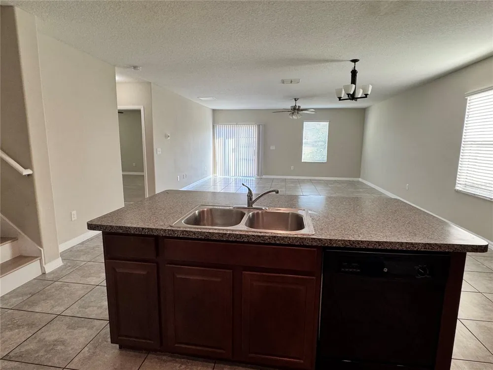 10013 CRESTED FRINGE DRIVE Riverview, FL 33578
