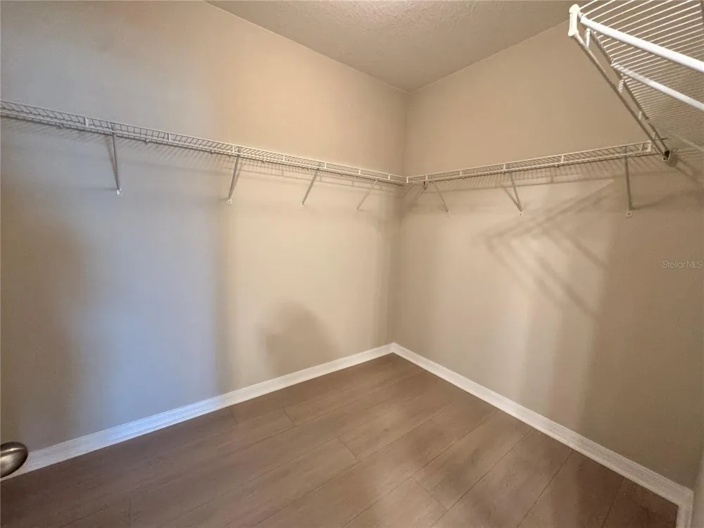 10013 CRESTED FRINGE DRIVE Riverview, FL 33578