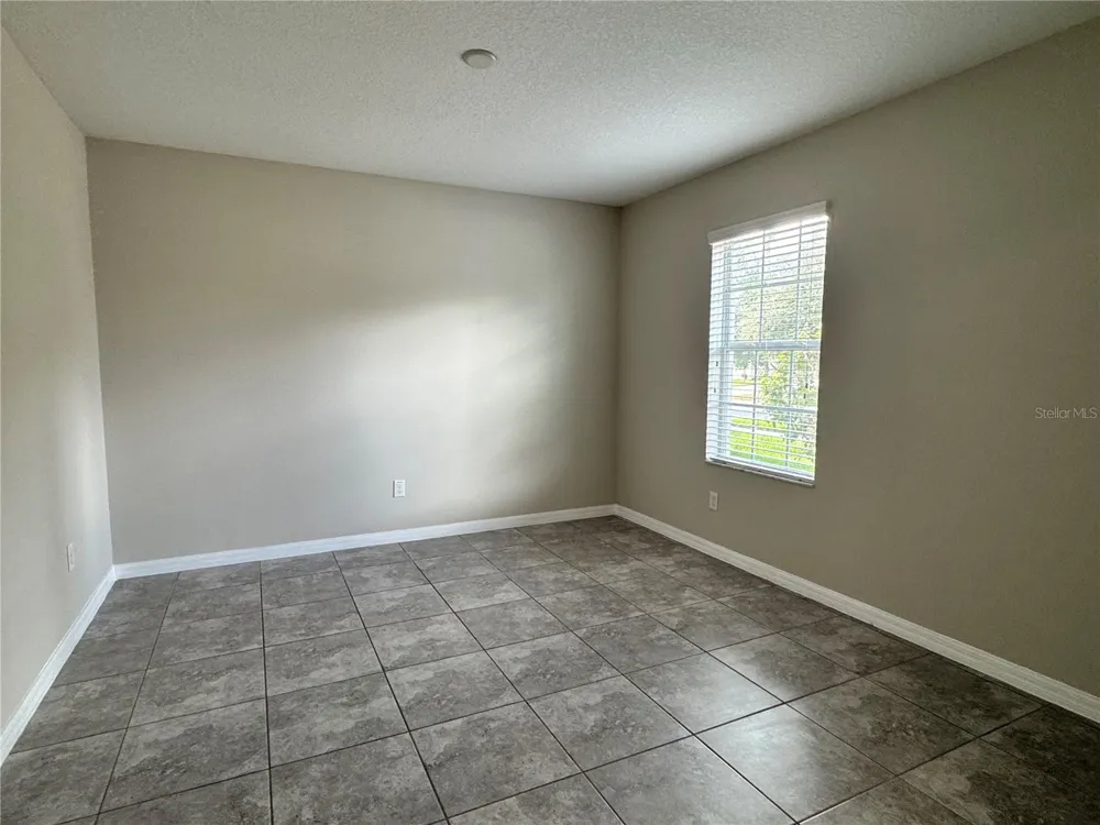 10013 CRESTED FRINGE DRIVE Riverview, FL 33578