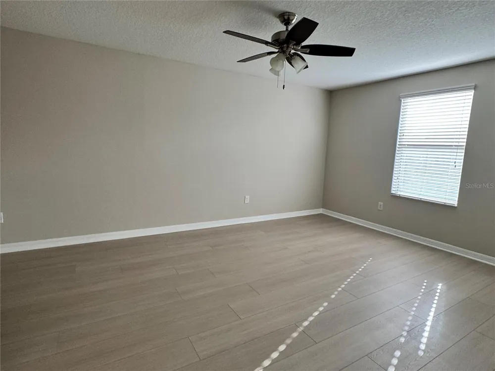 10013 CRESTED FRINGE DRIVE Riverview, FL 33578