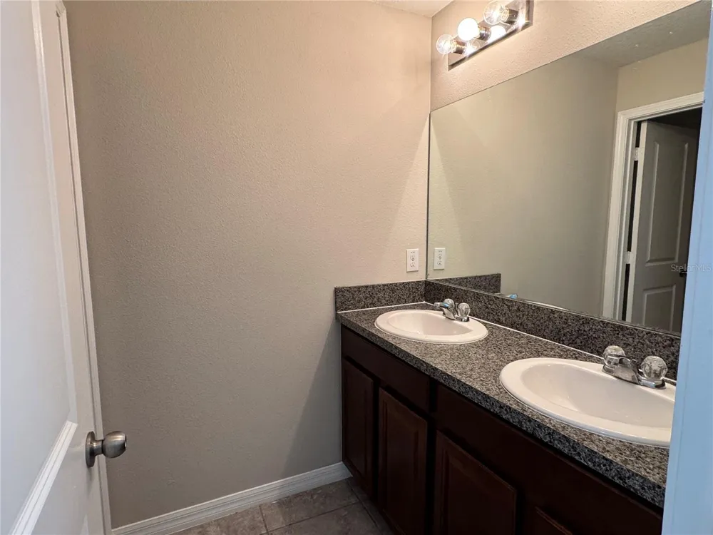 10013 CRESTED FRINGE DRIVE Riverview, FL 33578