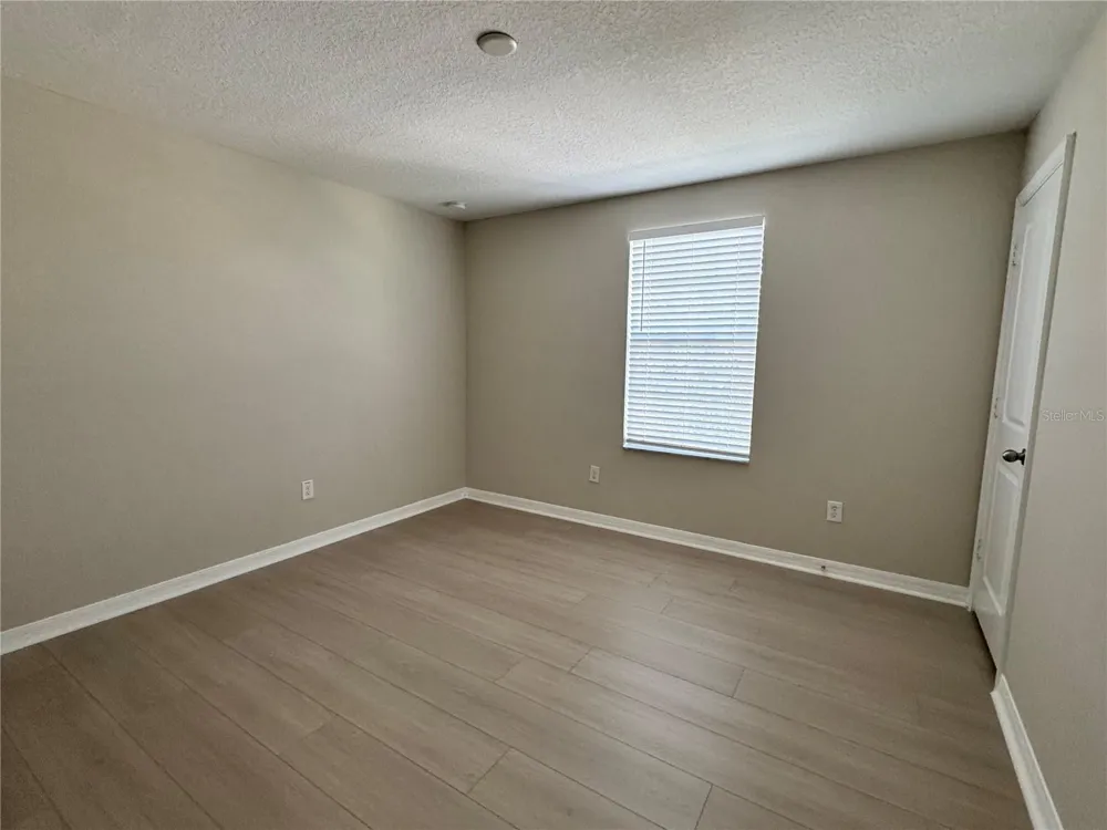 10013 CRESTED FRINGE DRIVE Riverview, FL 33578