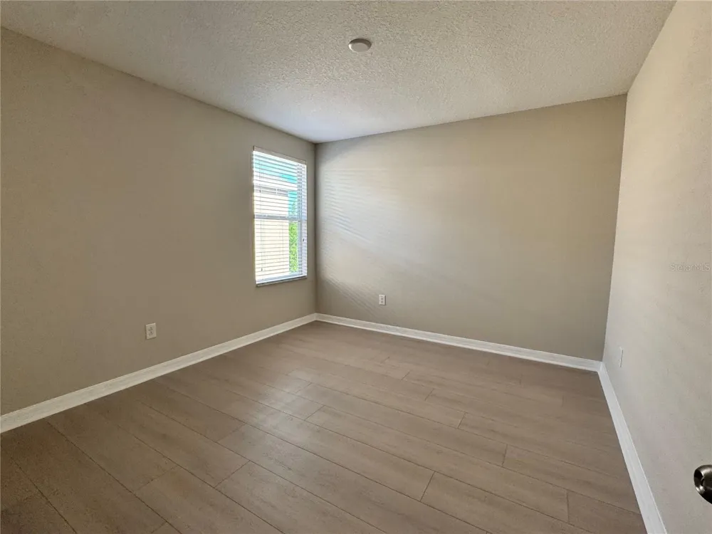 10013 CRESTED FRINGE DRIVE Riverview, FL 33578