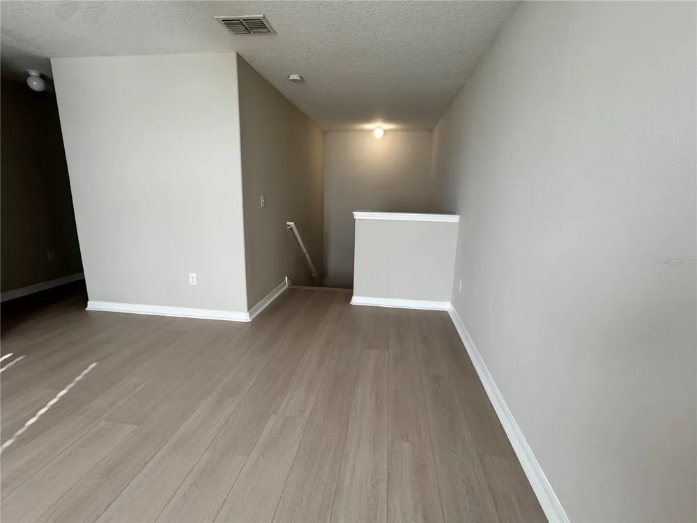 10013 CRESTED FRINGE DRIVE Riverview, FL 33578