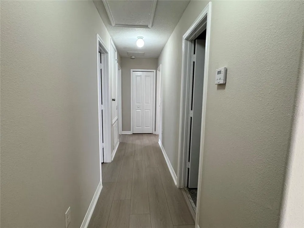 10013 CRESTED FRINGE DRIVE Riverview, FL 33578