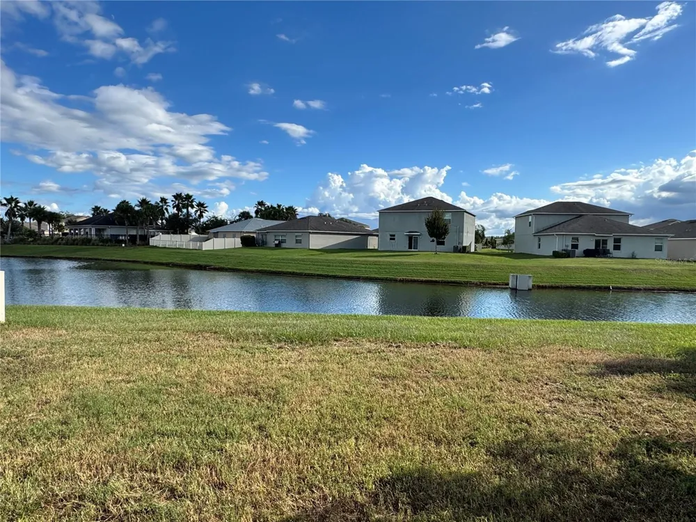 10013 CRESTED FRINGE DRIVE Riverview, FL 33578
