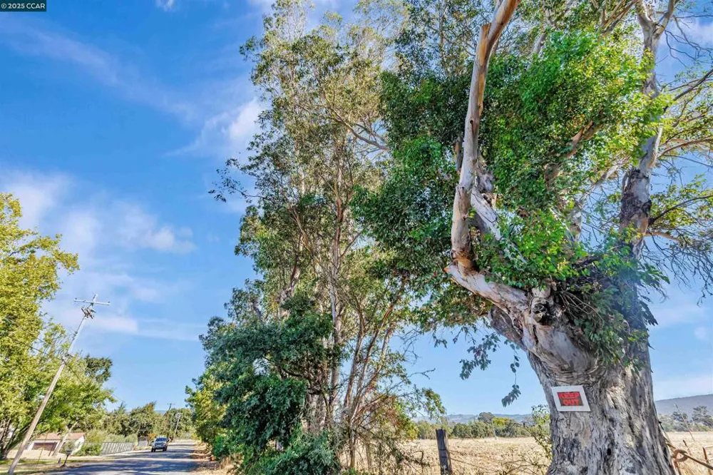 21200 Silva Road Sonoma, CA 95476