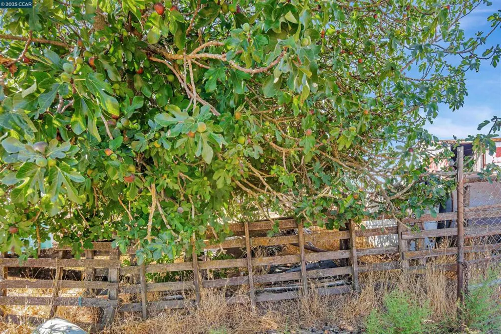 21200 Silva Road Sonoma, CA 95476
