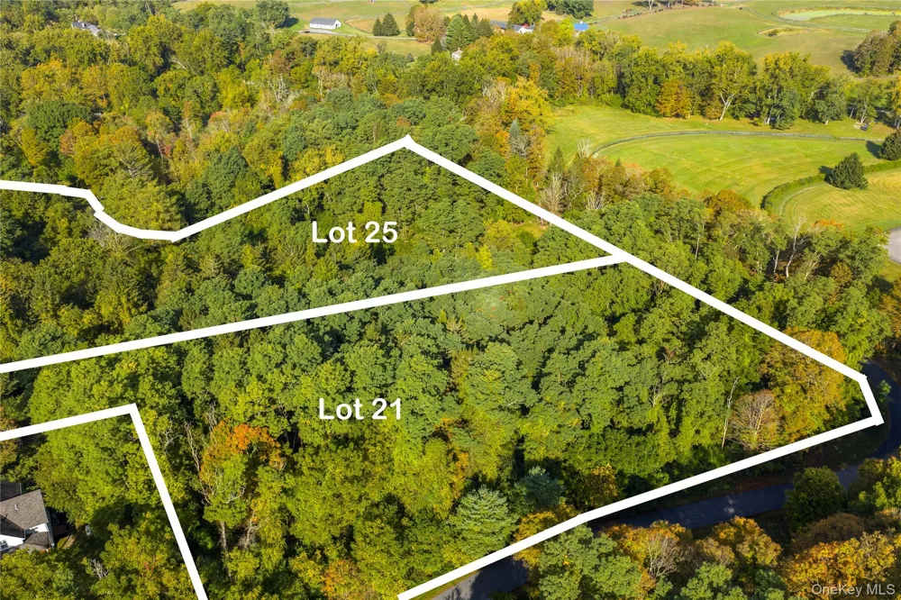 Lot 25 Brady Brook Farm Road Pawling, NY 12564