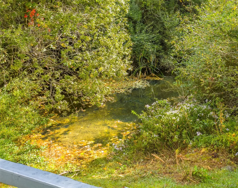 Lot 25 Brady Brook Farm Road Pawling, NY 12564