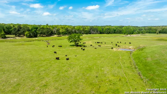550 Vz County Road 4707 Ben Wheeler, TX 75754