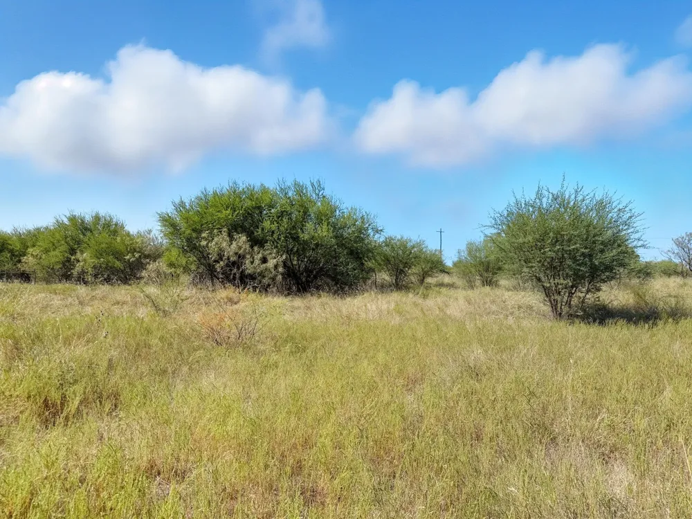 PR 42110 Evant, TX 76525