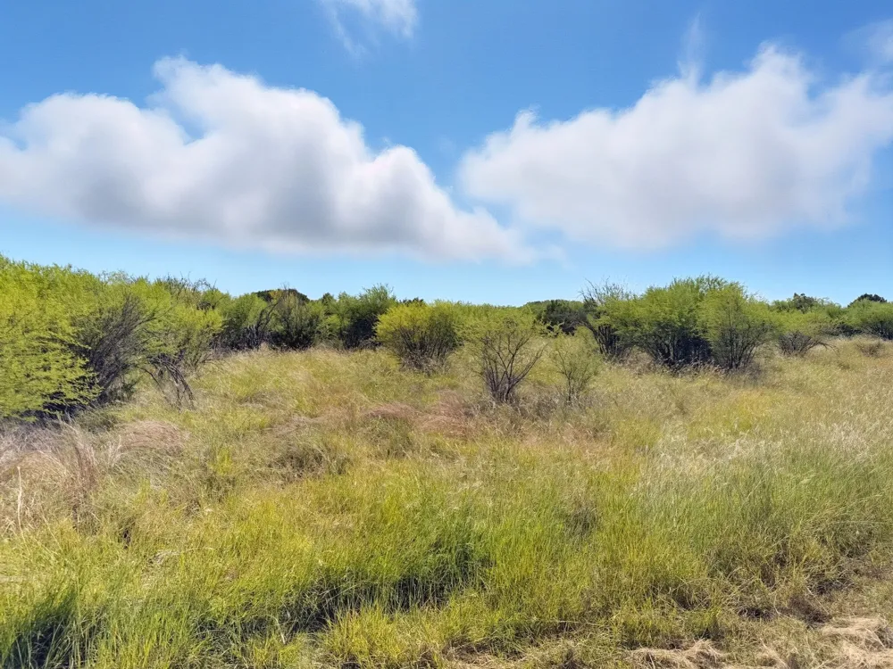 PR 42110 Evant, TX 76525