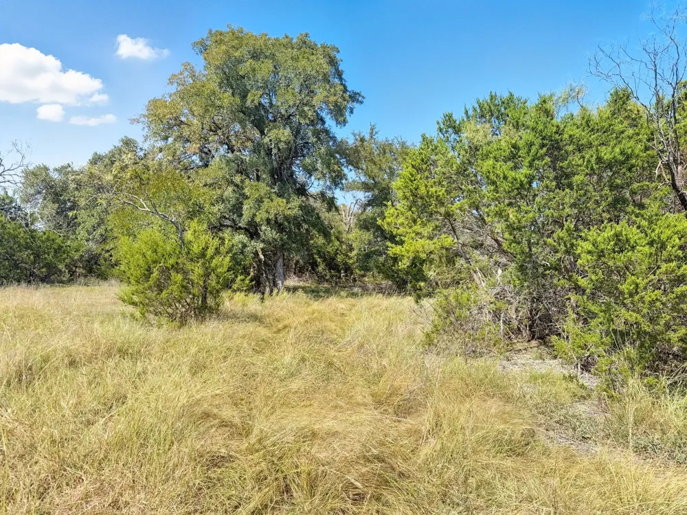 PR 42110 Evant, TX 76525