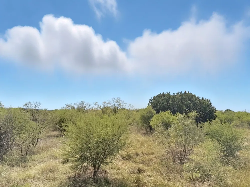 PR 42110 Evant, TX 76525