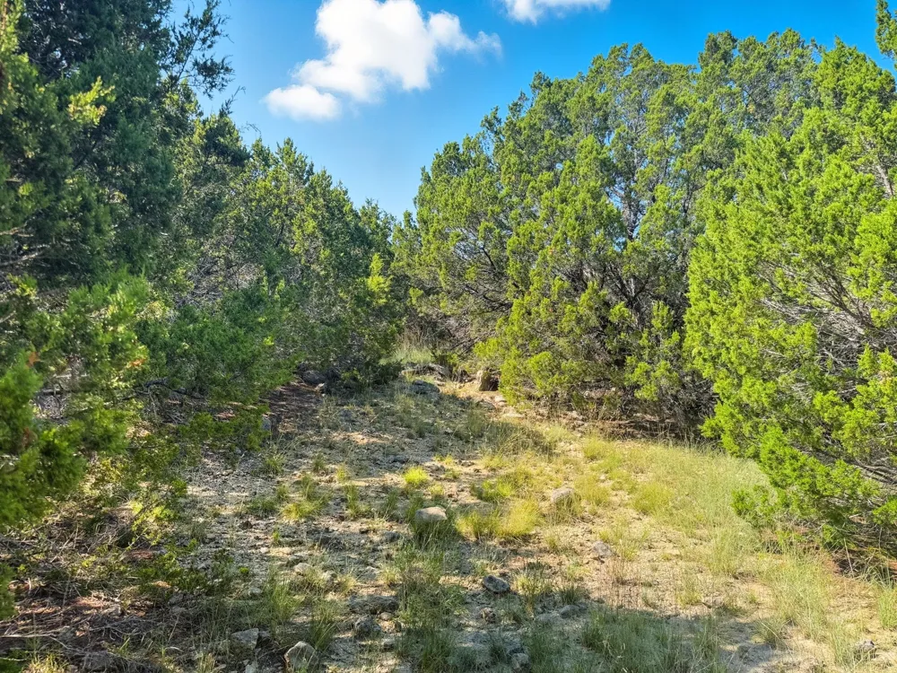 PR 42110 Evant, TX 76525