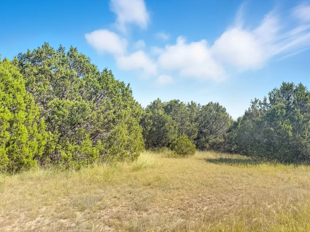 PR 42110 Evant, TX 76525