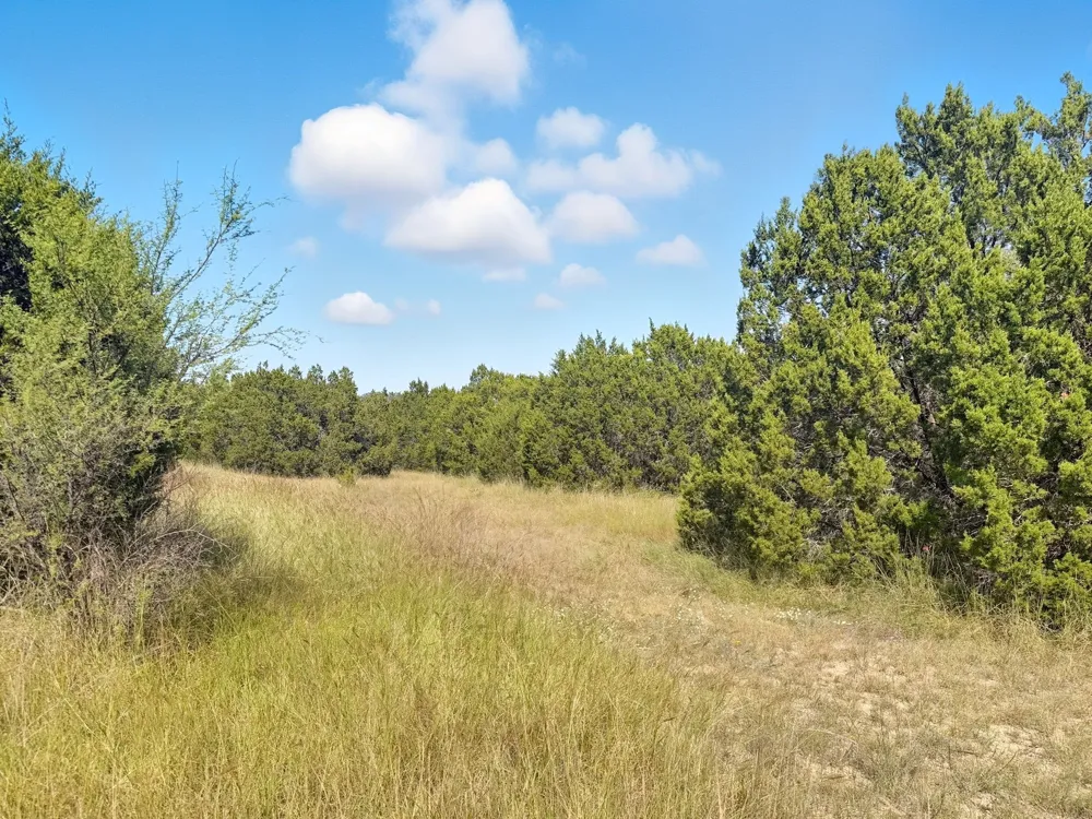 PR 42110 Evant, TX 76525