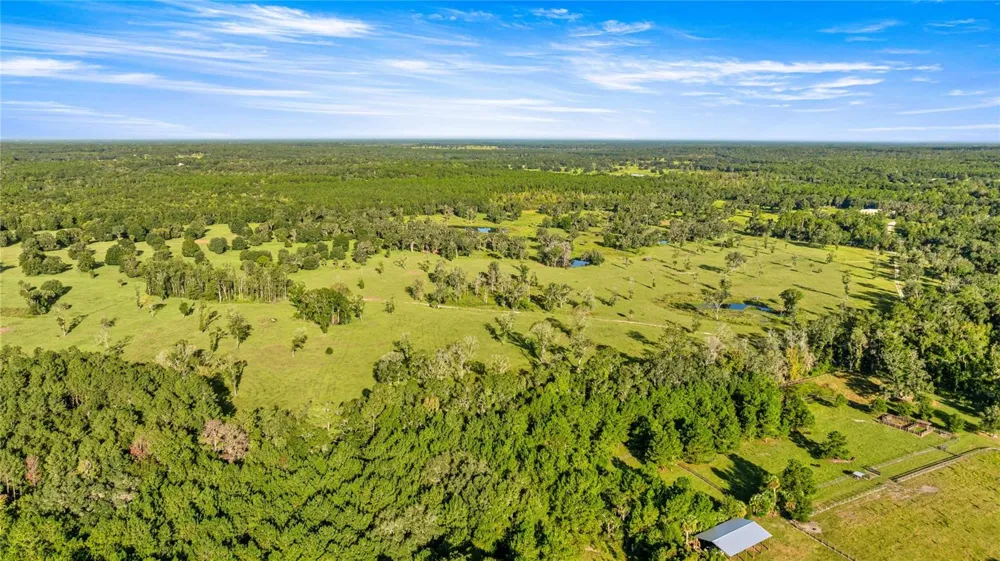 17748 HWY 329 Reddick, FL 32686