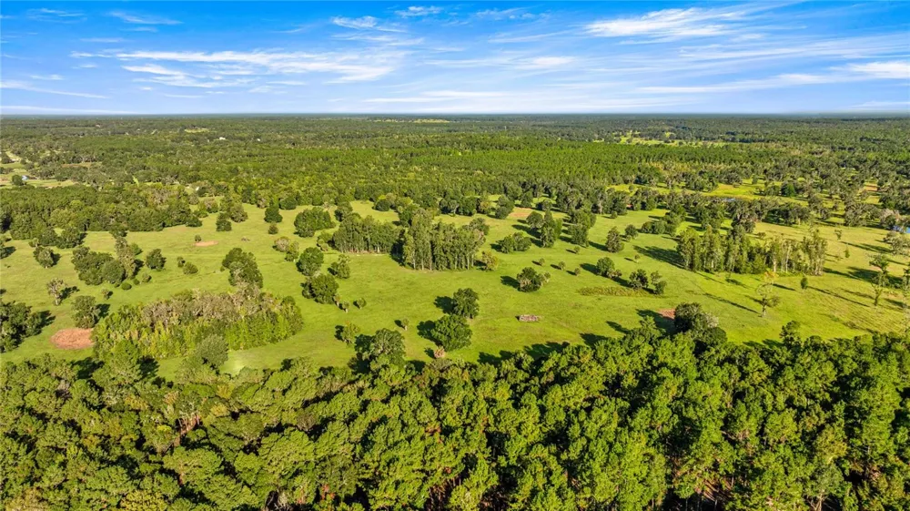 17748 HWY 329 Reddick, FL 32686