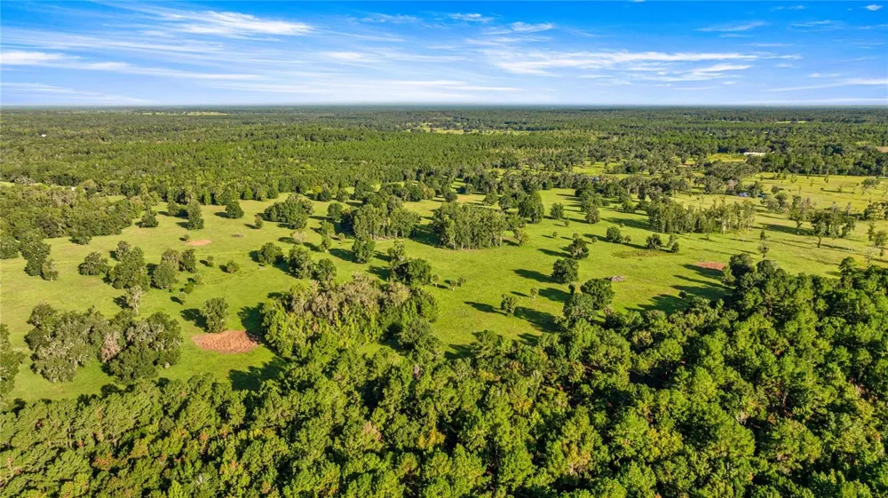 17748 HWY 329 Reddick, FL 32686