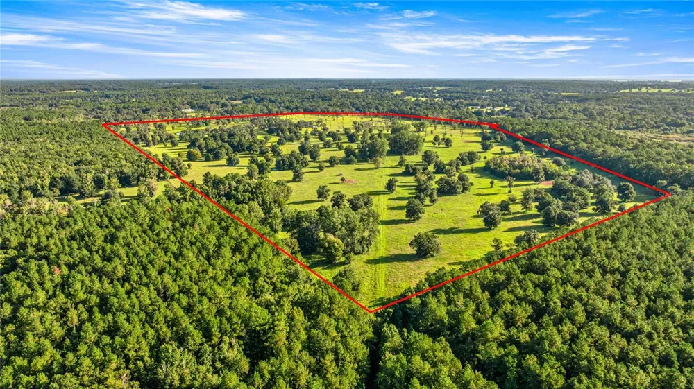 17748 HWY 329 Reddick, FL 32686