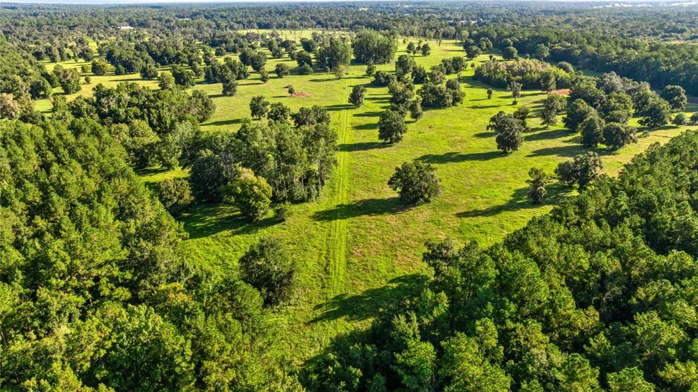 17748 HWY 329 Reddick, FL 32686