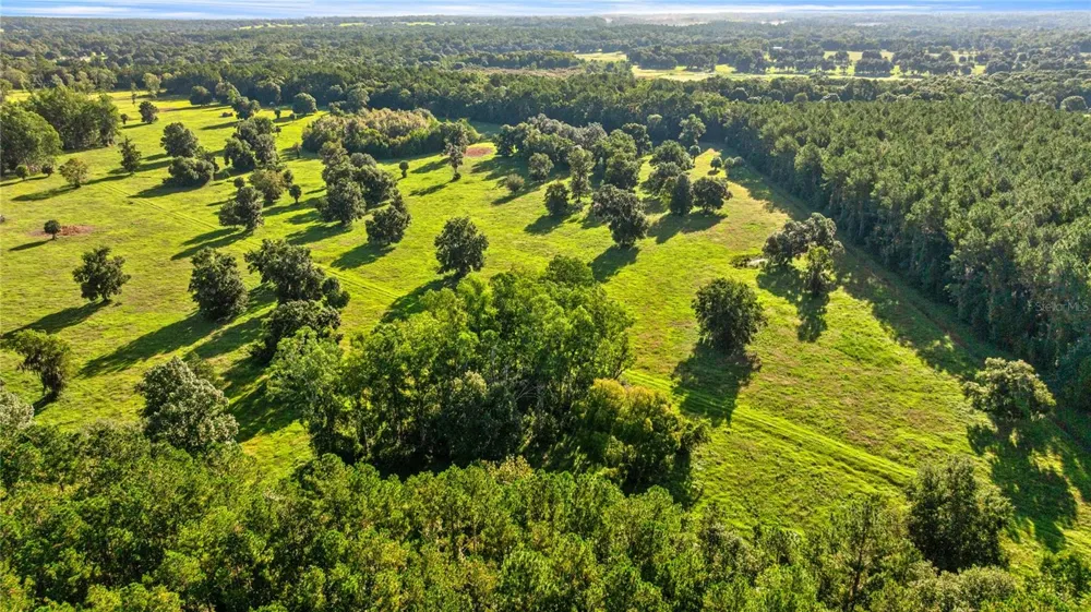 17748 HWY 329 Reddick, FL 32686