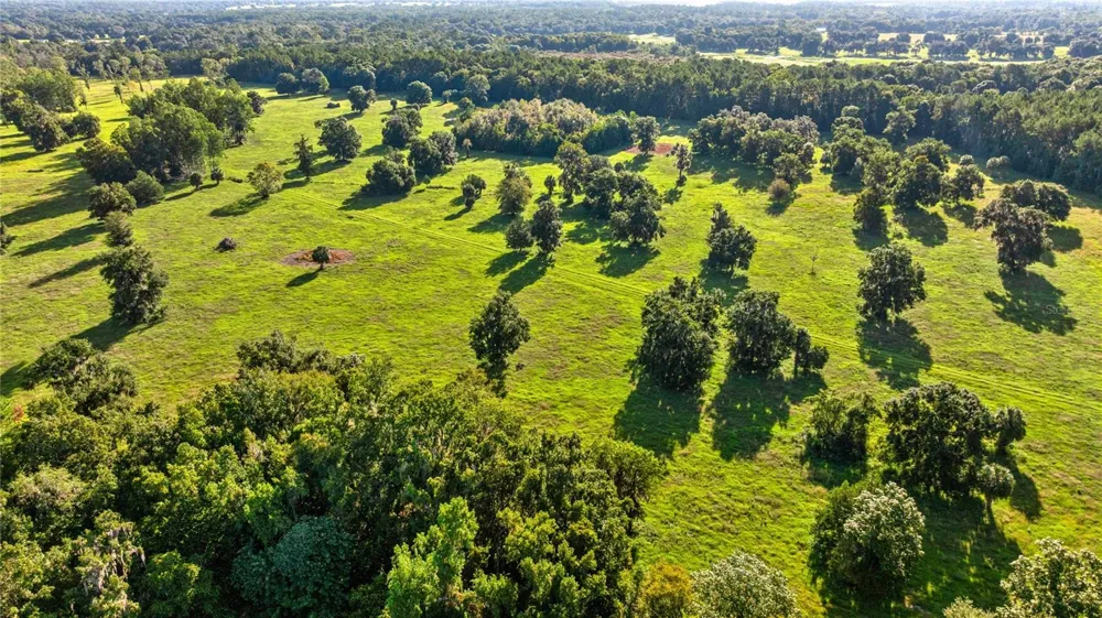 17748 HWY 329 Reddick, FL 32686