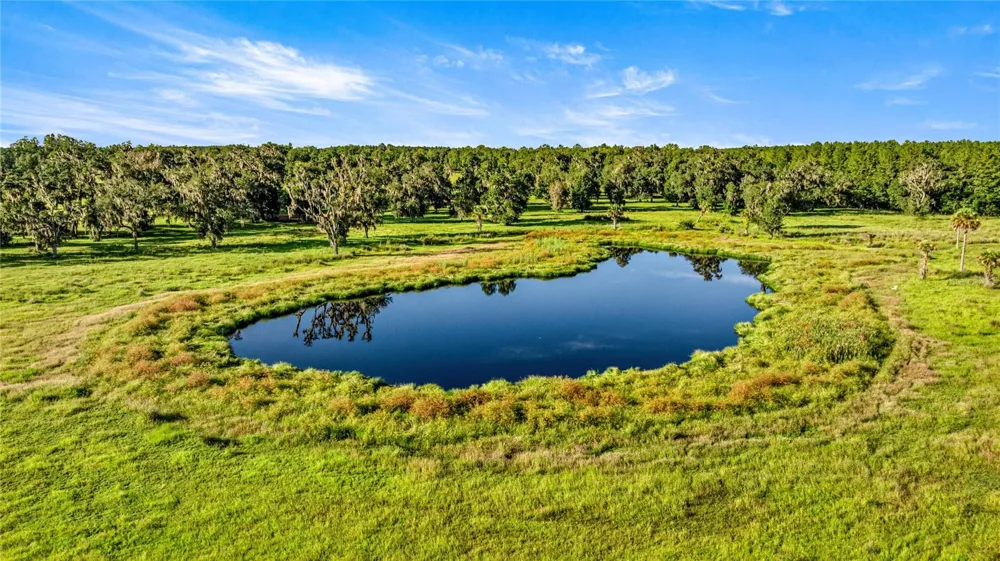 17748 HWY 329 Reddick, FL 32686