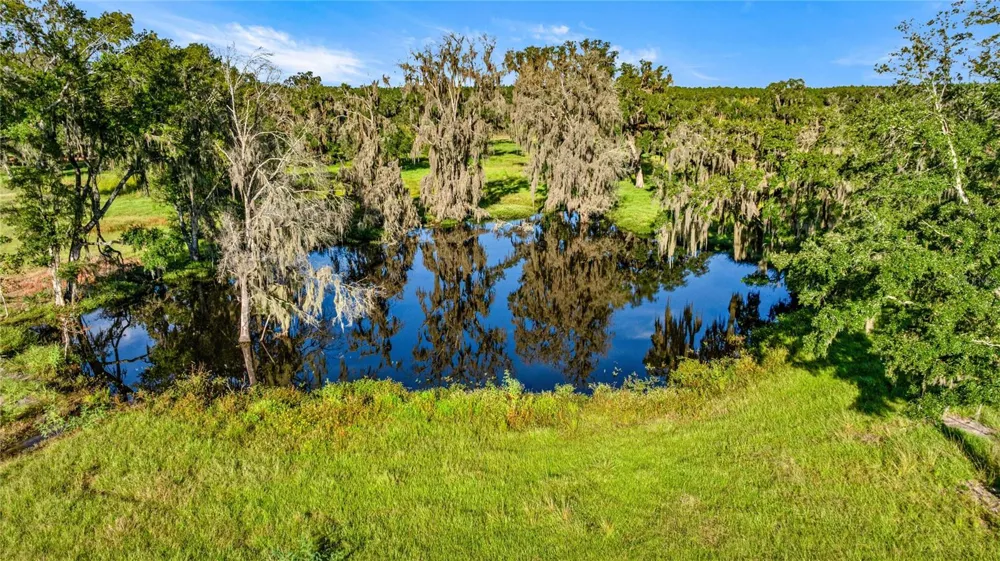 17748 HWY 329 Reddick, FL 32686
