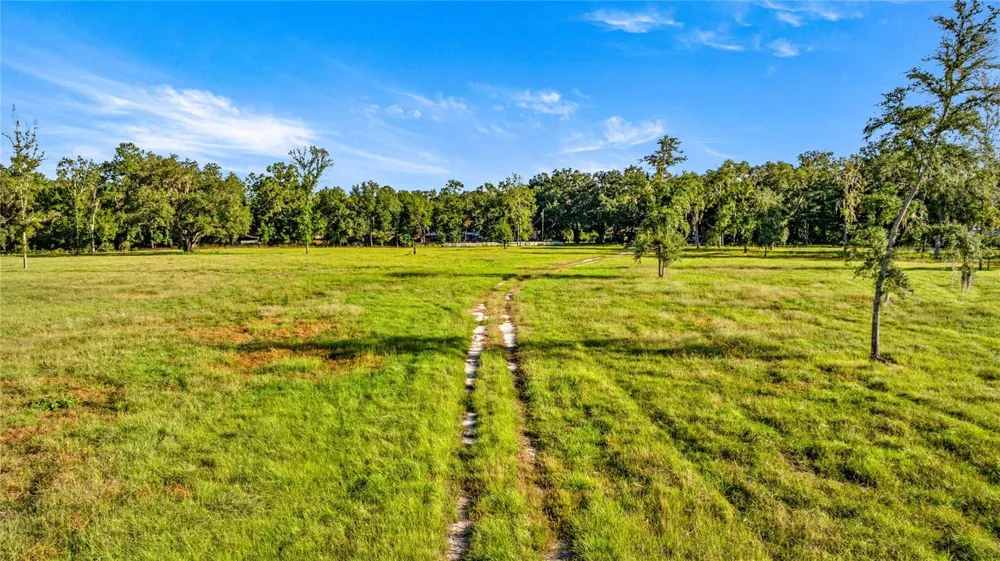 17748 HWY 329 Reddick, FL 32686