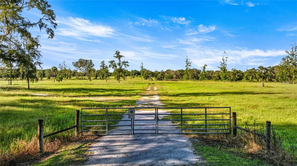 17748 HWY 329 Reddick, FL 32686