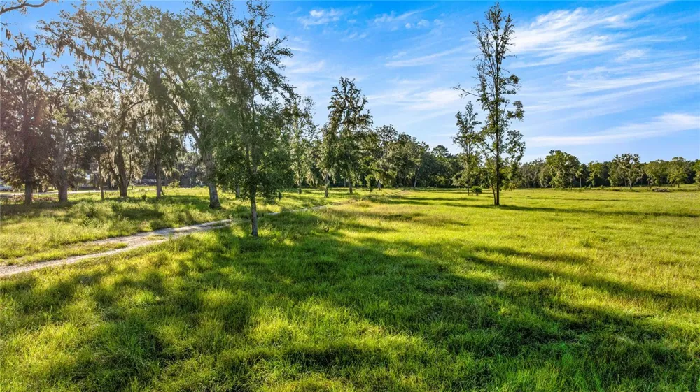 17748 HWY 329 Reddick, FL 32686