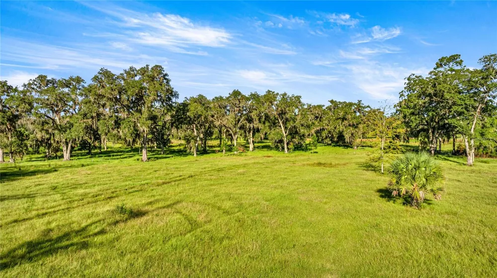 17748 HWY 329 Reddick, FL 32686