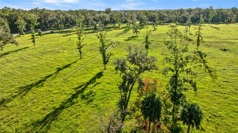 17748 HWY 329 Reddick, FL 32686