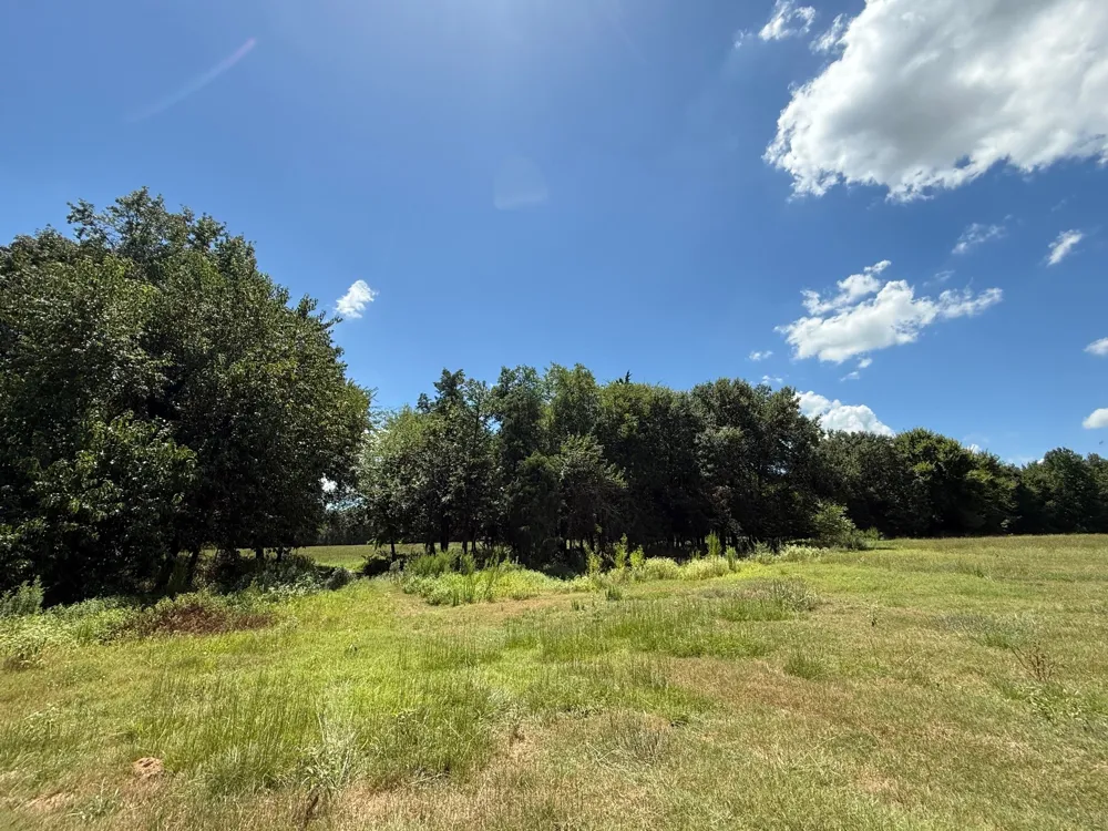 CR 1670 Mt Pleasant, TX 75455