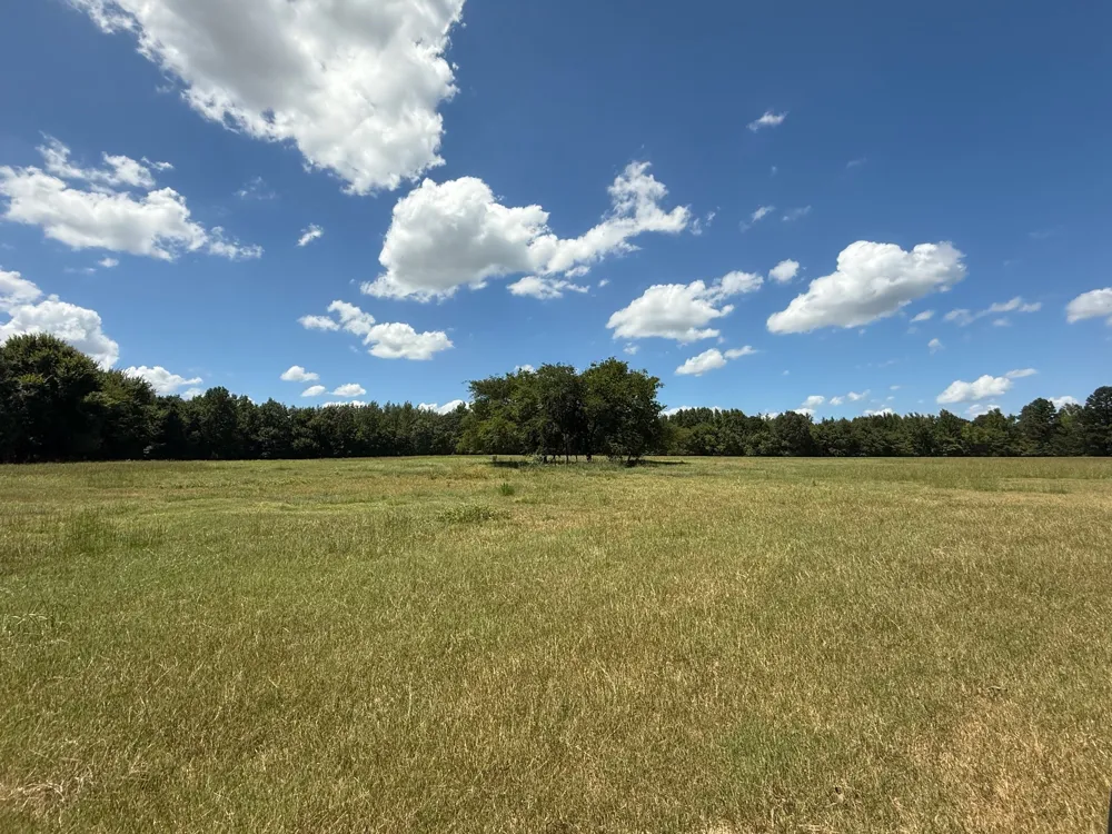 CR 1670 Mt Pleasant, TX 75455