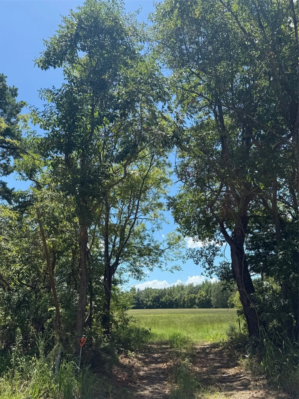 CR 1670 Mt Pleasant, TX 75455