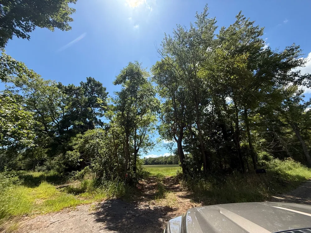 CR 1670 Mt Pleasant, TX 75455