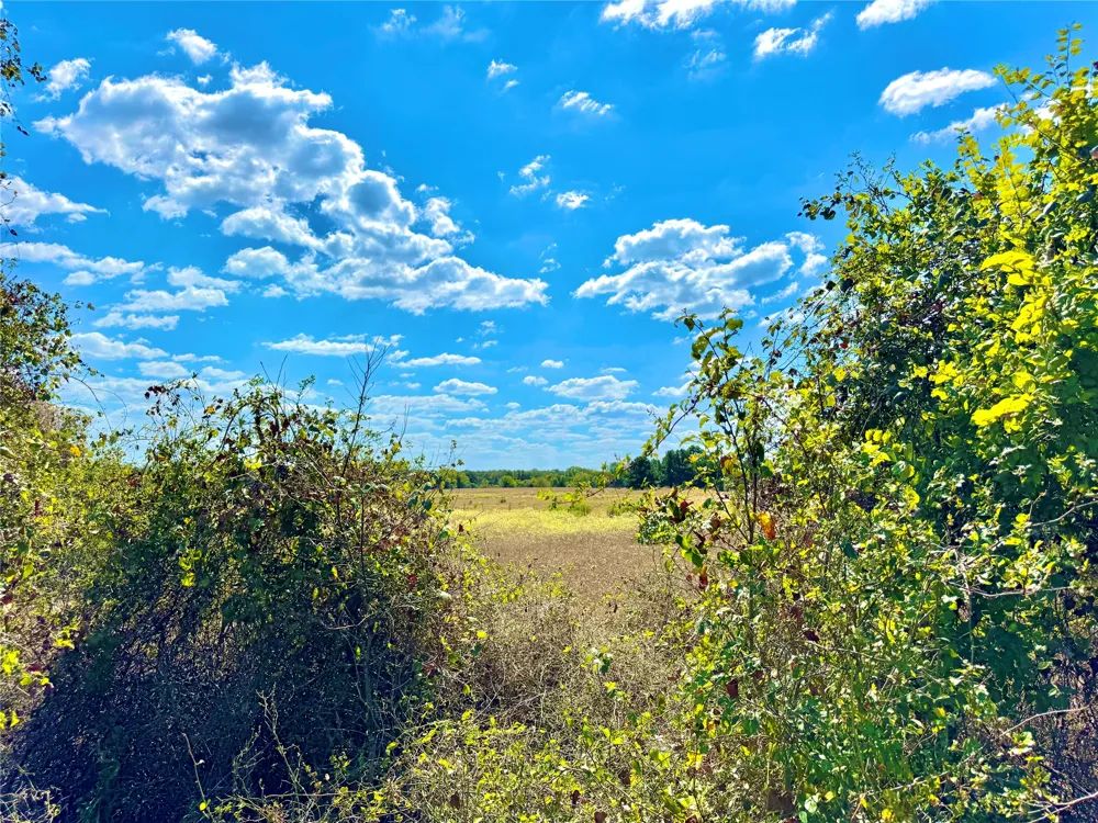 50 Rabel Road Rosanky, TX 78953