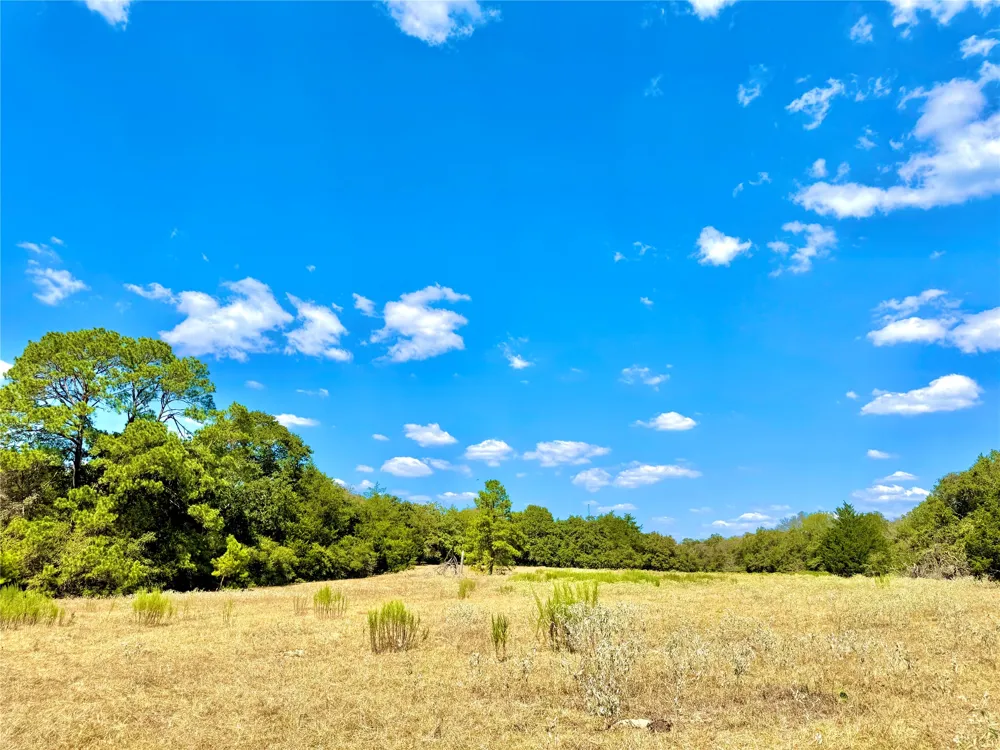 50 Rabel Road Rosanky, TX 78953