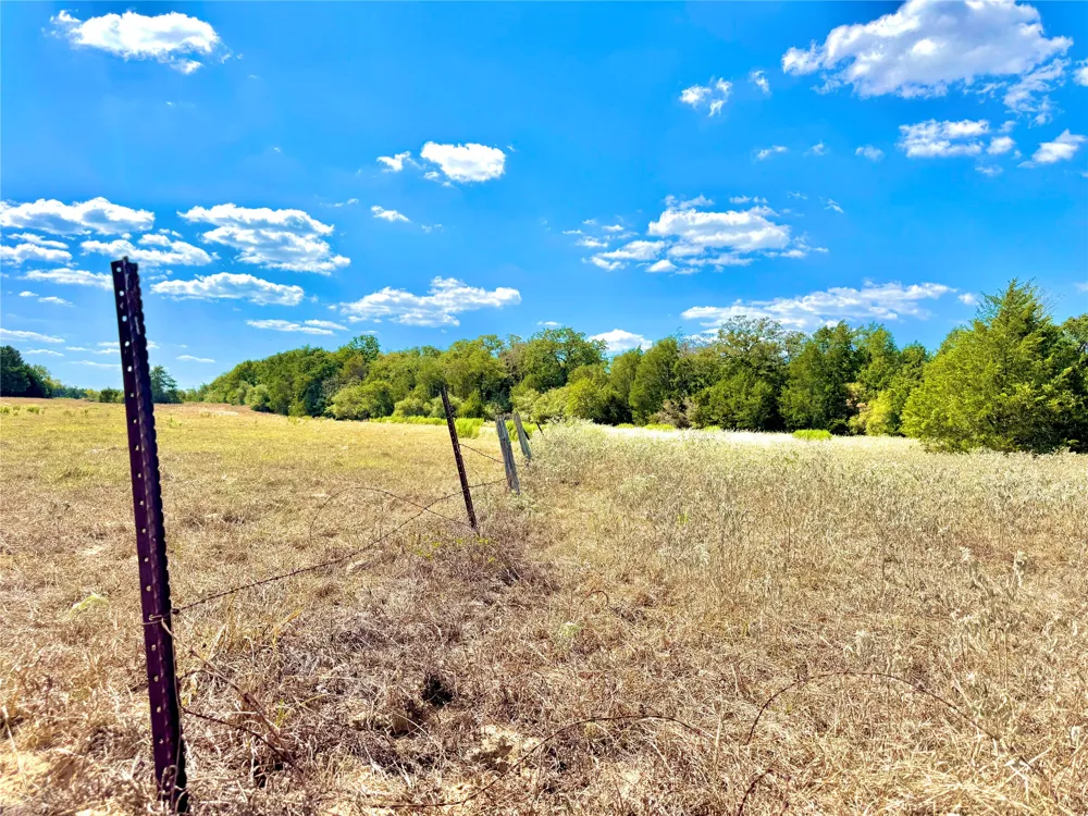 50 Rabel Road Rosanky, TX 78953